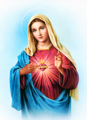 <성모 성심 (The Immaculate Heart of Mary)>