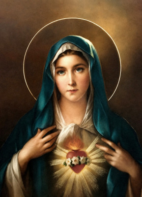 <성모 성심 (The Immaculate Heart of Mary)>