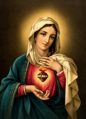 <성모 성심 (The Immaculate Heart of Mary)>