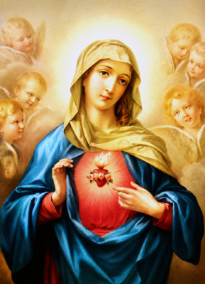 <성모 성심 (The Immaculate Heart of Mary)>