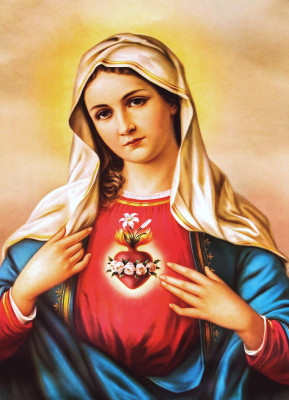 <성모 성심 (The Immaculate Heart of Mary)>