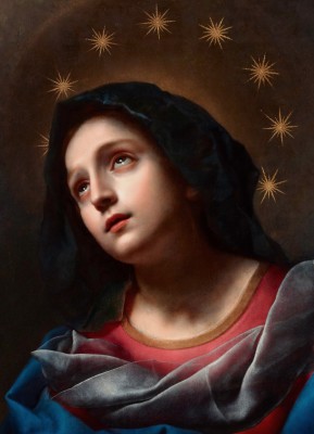 <별관을 쓴 성모(Our Lady with the Crown of Stars)>
